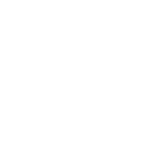 E control image