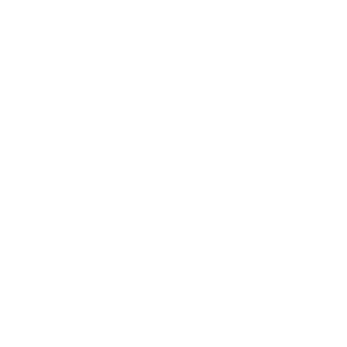 R control image