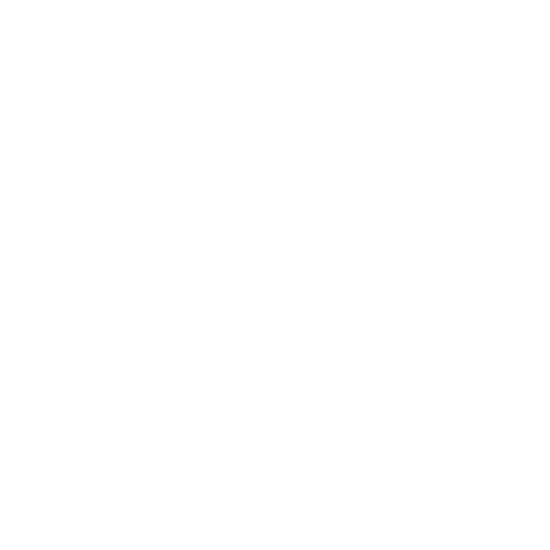 Z control image